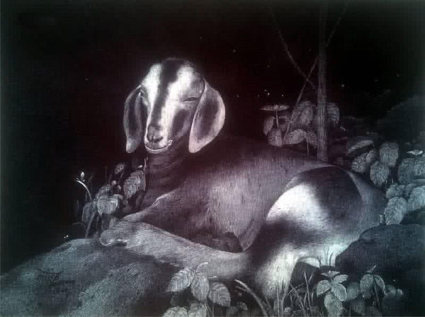 Goat Drawing by Nagesh Devkar | ArtZolo.com