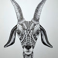 Animals pen drawing titled 'Goat', 15x11 inches, by artist Kushal Kumar on Paper