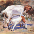 Animals oil painting titled 'Goat', 8x10 inches, by artist Swapnil Patil on Canvas