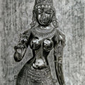 Figurative charcoal painting titled 'Goddess Lakshmi', 29x19 inches, by artist Preeti Ghule on Paper
