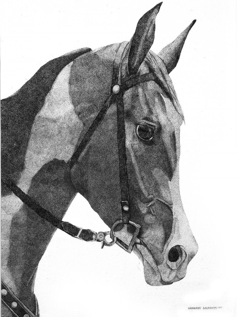 Animals ink drawing titled 'Horse 2', 35x28 inches, by artist Kamalesh Salaskar on Paper