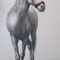 Animals charcoal painting titled 'Horse', 48x24 inches, by artist Yuvraj Patil on Canvas