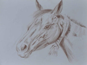 Horse (Equestrian Study) by Bhavesh Patel, Original Dry Pastel Animal Painting on Paper, Small Horizontal Wall Art