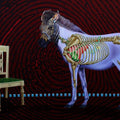 contemporary acrylic painting titled 'Horse', 48x72 inches, by artist Sanjay Kumar on Canvas