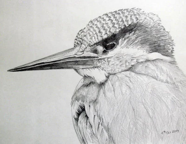 Kingfisher Drawing by Rajendra V | ArtZolo.com