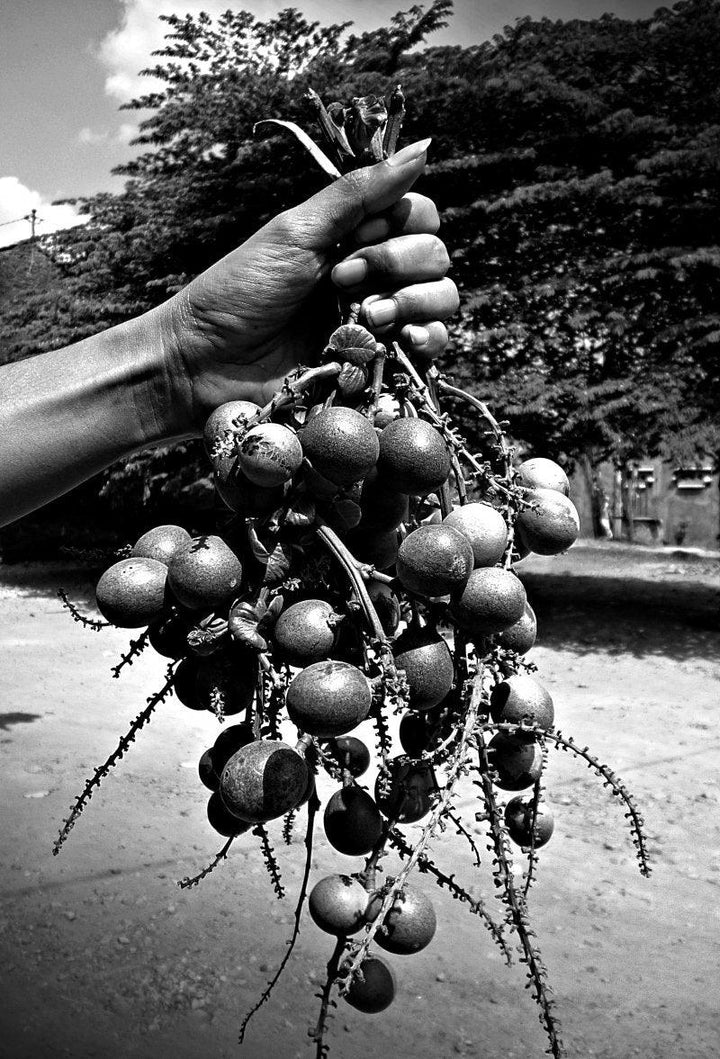 Matoa Fruit Especially From Papua Photography by Rahmat Nugroho | ArtZolo.com