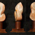 Nature sculpture titled 'Nature 2', 10x10x10 inches, by artist Rajeev Ranjan on Pink Marble