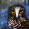 Animals acrylic painting titled 'Owl', 20x16 inches, by artist Ramesh Das on Canvas