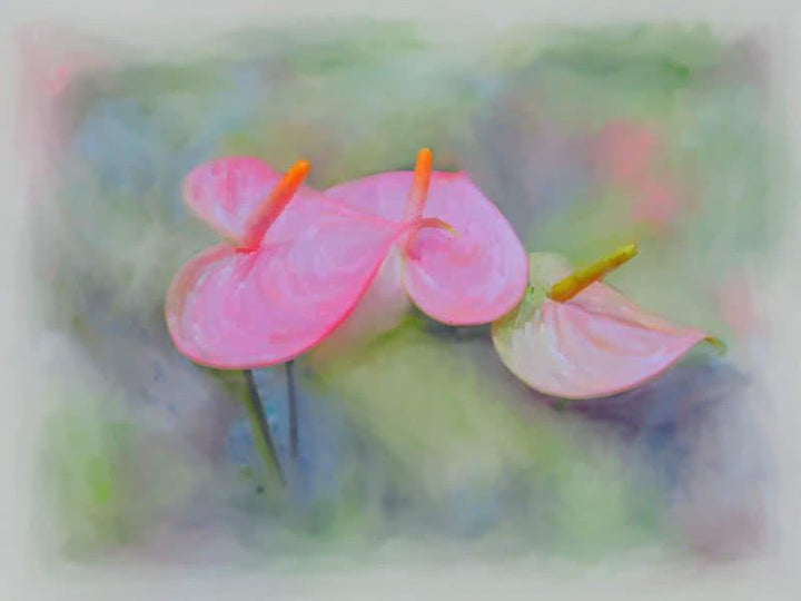 Pink Anthurium Digital Art by Usha Shantharam | ArtZolo.com