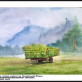 Landscape watercolor painting titled 'Plain Air', 14x30 inches, by artist Biki Das on Paper