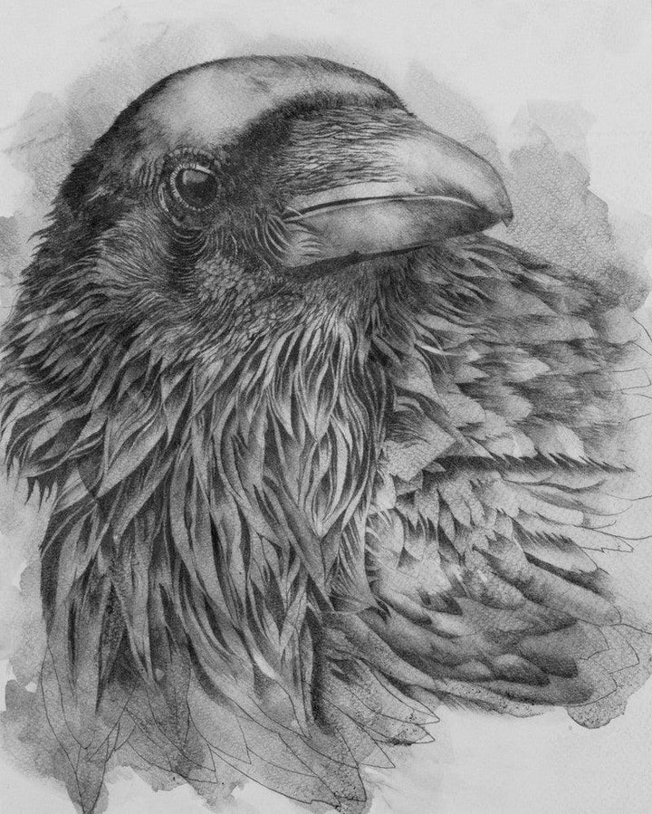 Raven Painting by Anjana Sihag | ArtZolo.com