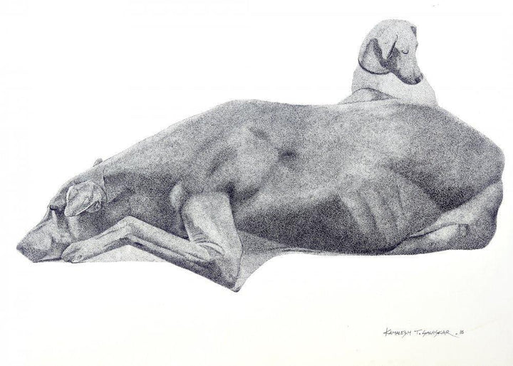 Resting Dog Drawing by Kamalesh Salaskar | ArtZolo.com