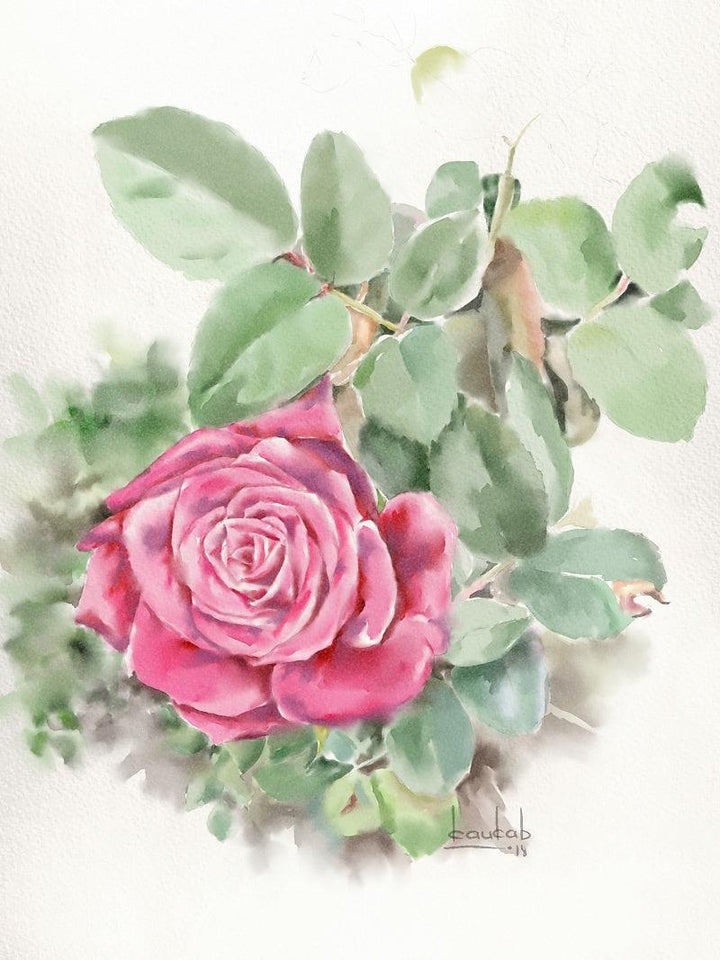 Rose1 Painting by Kaukab Ahmad | ArtZolo.com