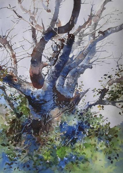 Nature watercolor painting titled 'The Tree', 11x16 inches, by artist Bijay Biswaal on Paper