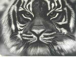 Animals charcoal painting titled 'Tiger ', 27x20 inches, by artist Preeti Ghule on Paper