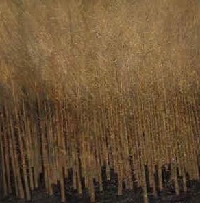 Nature oil painting titled 'Untitled 11', 20x20 inches, by artist Pardeep Singh on Canvas