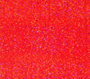 Untitled 13 (Ruby Radiance) by Anil Tagad, Original Mixed Media Abstract Painting on Canvas, Small Horizontal Wall Art