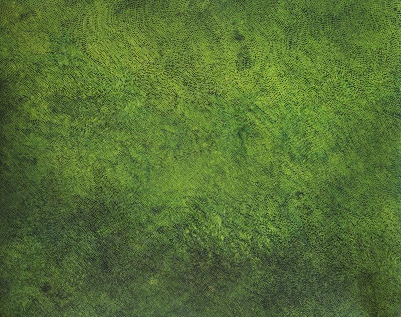 Abstract acrylic painting titled 'Untitled 62', 24x30 inches, by artist Durgesh Birthare on Canvas