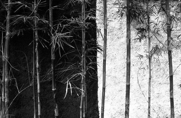 Wall Bamboo Background Photography by Rahmat Nugroho | ArtZolo.com