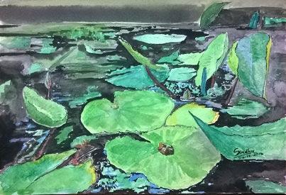 Waterlily Leaves In Watercolour Painting by Sindhulina Chandrasingh | ArtZolo.com