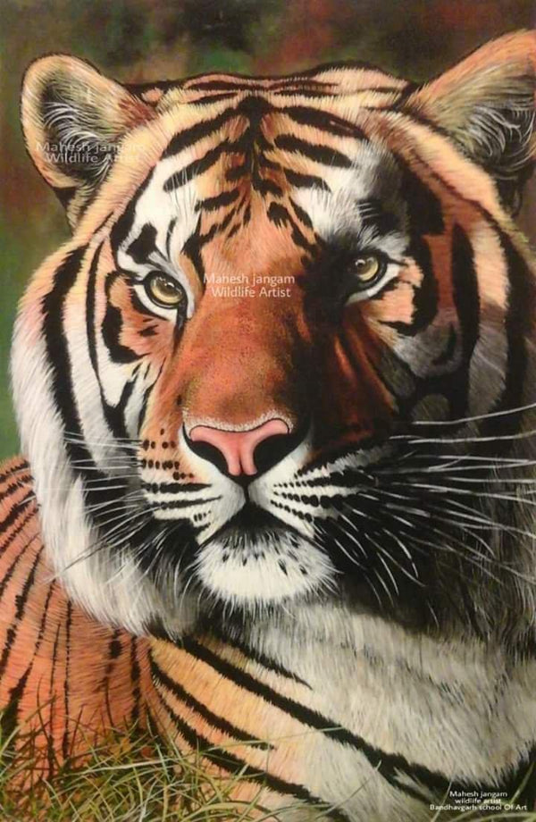 Wildlife Tiger Painting by Mahesh Jangam | ArtZolo.com