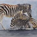 Animals oil painting titled 'Zebras', 29x19 inches, by artist Anjana Sihag on Canvas