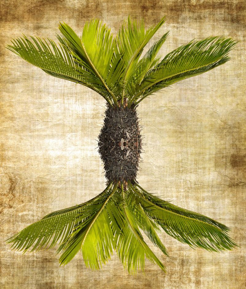 Nature Digital Painting digital art titled 'Alien botany', 17x14 inches, by artist Sumit Mehndiratta on canvas