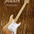 Music photography titled 'American Fender Stratocaster', 15x11 inches, by artist Shavit Mason on