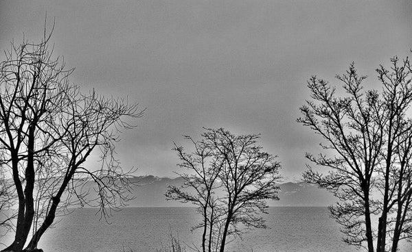 Amriswil Lake 1 Photography by Ashwin Rajaraman | ArtZolo.com