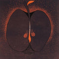 Still-life printmaking titled 'Apple 2', 12x10 inches, by artist Madhav Joshi on Paper