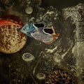 contemporary printmaking titled 'Aqua Life 2', 20x13 inches, by artist Jyotirmay Dalapati on Paper