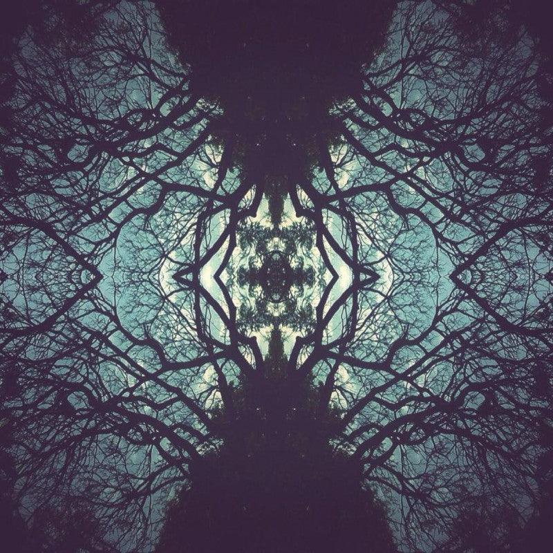 Abstract Photomanipulation digital art titled 'Arachnophilia', 11x11 inches, by artist Shantanu Tilak on canvas