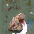 Abstract acrylic painting titled 'Artist and Sea Shell', 36x24 inches, by artist Zakir Hussain  Shaikh on Canvas