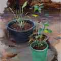 Nature oil painting titled 'Backyard1', 11x8 inches, by artist SURABHI GULWELKAR on Canvas