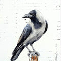 Animals watercolor painting titled 'Bird 10', 7x6 inches, by artist Raju Sarkar on Paper