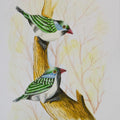 Animals postercolor painting titled 'Birds 226', 12x9 inches, by artist santosh patil on paper