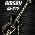 Music photography titled 'Black gibson es 345', 15x11 inches, by artist Shavit Mason on