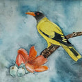 Animals watercolor painting titled 'Black Headed Oriole', 8x12 inches, by artist Yashodan Heblekar on Paper