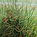 Nature oil painting titled 'Blooming Cactus', 30x24 inches, by artist Arabinda Mukherjee on Canvas