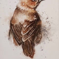 Brown Bird' animals watercolor painting by artist Anjana Sihag, 9x6 inch, on paper