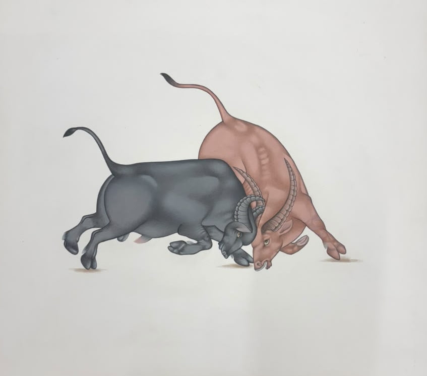 Bull Fight' animals miniature Traditional Art by artist Unknown, 13x15 inch, on paper