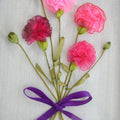Nature mixed media titled 'Carnations', 7x10 inches, by artist Mohna Paranjape on Cloth