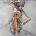 Animals watercolor painting titled 'Cat 2', 12x16 inches, by artist Vijay Jadhav on Paper