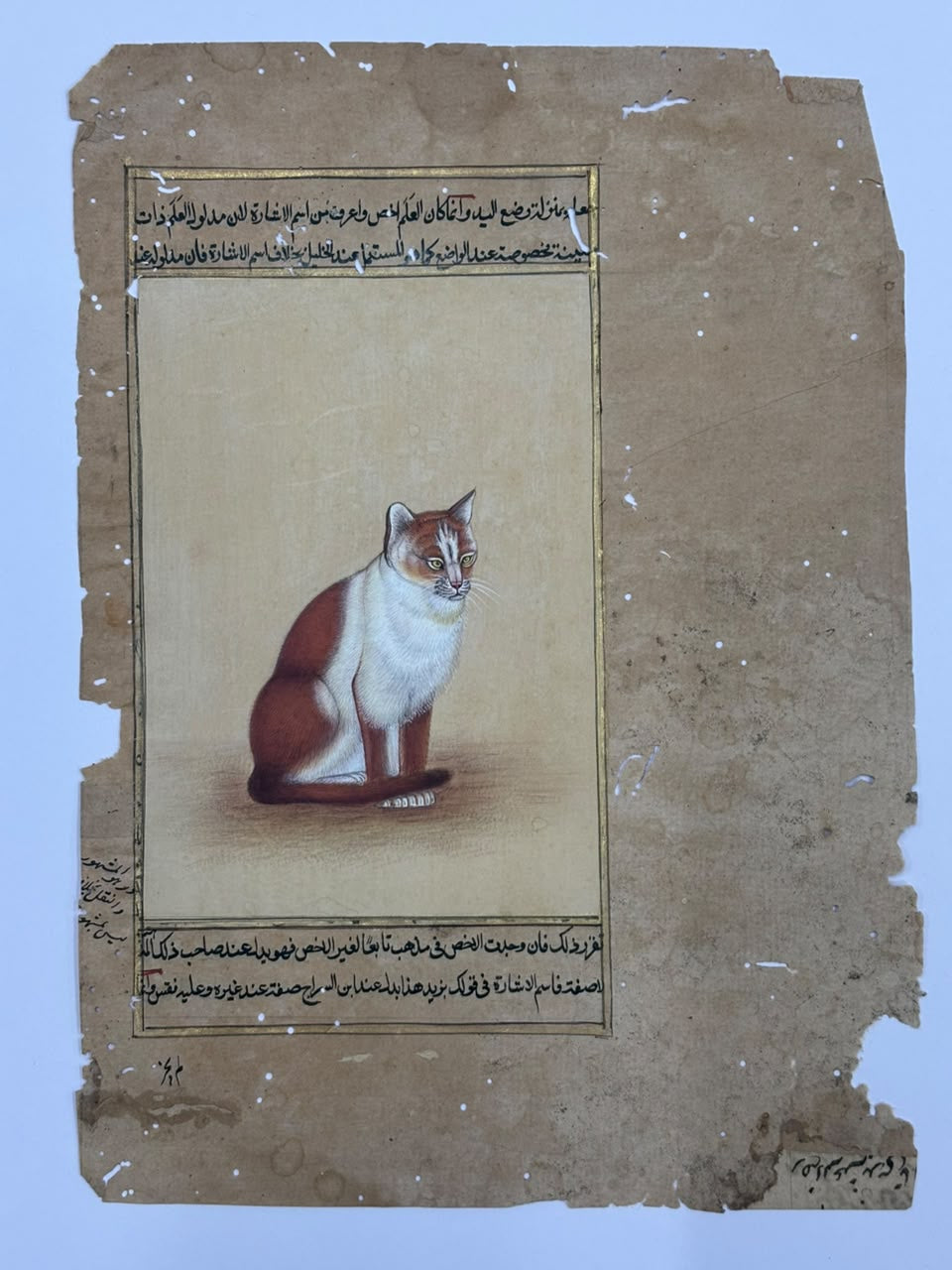 Cat' animals miniature Traditional Art by artist Unknown, 10x7 inch, on paper