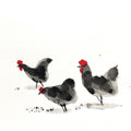 Chicken 3' animals ink drawing by artist Ashok Hinge, 8x12 inch, on paper
