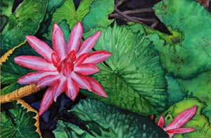 Circle Of Life (Lotus in Bloom) by Gaurav Dinesh, Original Watercolor Nature Painting on Paper, X-Small Horizontal Wall Art