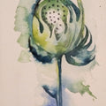 Cotton Bud' nature watercolor painting by artist Anjana Sihag, 9x6 inch, on paper