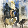 Cows In Blue City 1 by Akshay Sawant