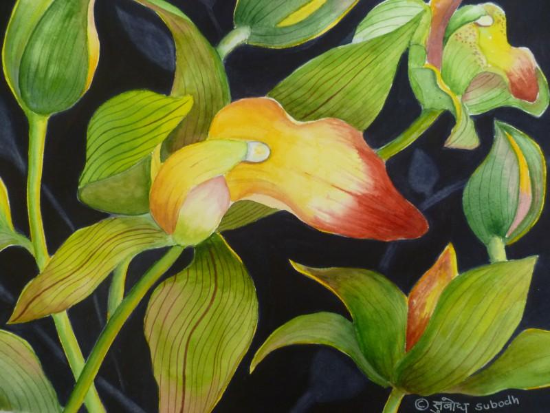 Nature watercolor painting titled 'Cymbidium Orchid (ORIGINAL SOLD)', 11x15 inches, by artist Subodh Maheshwari on Arches Paper