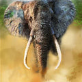 Animals Digital Painting digital art titled 'Elephant', 16x11 inches, by artist Rajesh Nayak on canvas